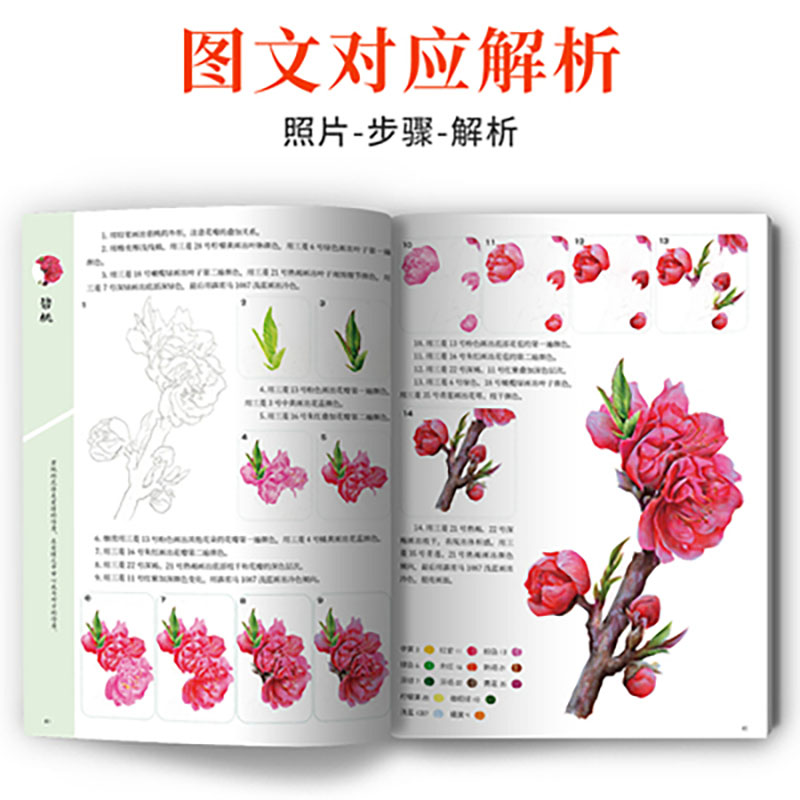 A course of practical color le - Food Snacks Coloring Book review and price