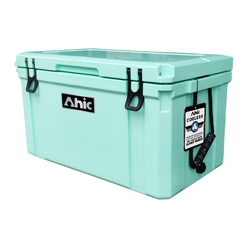 75L Insulated PE Ice Cooler Bo - Food & Snacks Colouring Book review and price