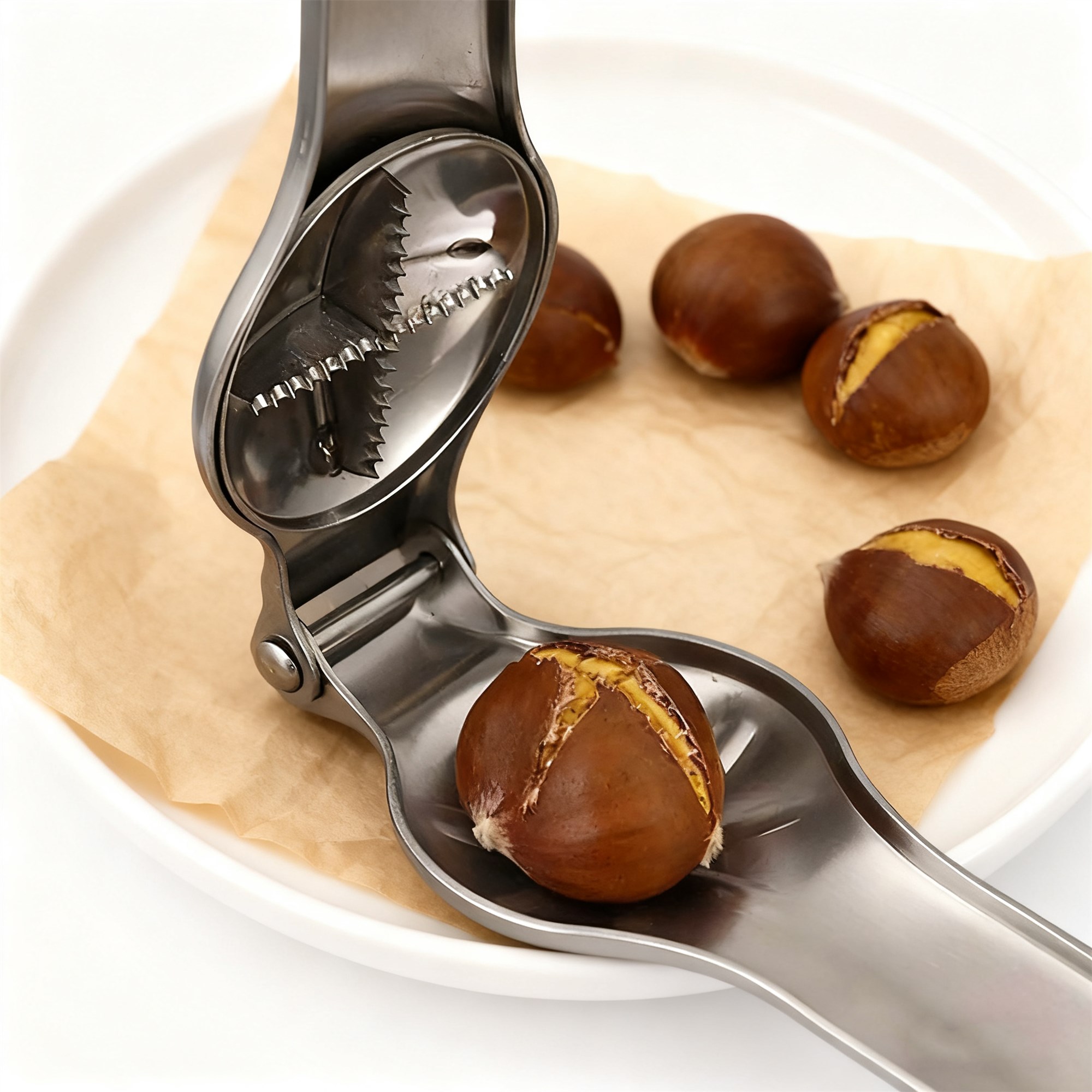 High - Quality Stainless Steel - Dry Food Snacks review and price